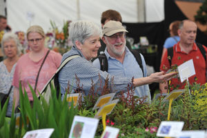 RHS Malvern Spring Festival 