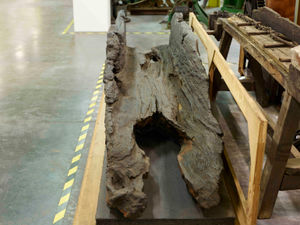The dugout canoe is believed to be between 3,000 and 4,000 years old.