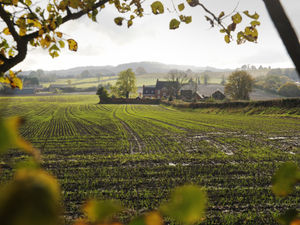 Supporting image for story: Black Country green belt borders 'needed for 27,000 new homes'