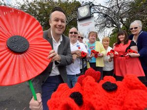 Supporting image for story: Purl of an idea for Remembrance Day poppy tribute