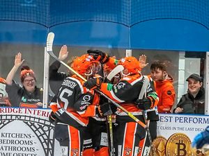 Supporting image for story: Mistakes prove costly as gritty Telford Tigers taste defeat