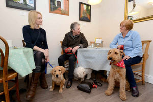 Louise Gage, with puppy Boo, with other dog owners Juila Horton, with Bertie, and Diane Grigg, with another dog called Boo