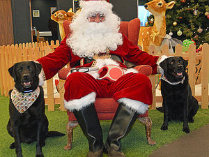 Supporting image for story: Salop Leisure’s Christmas Adventure has Santa Paws treat for dogs