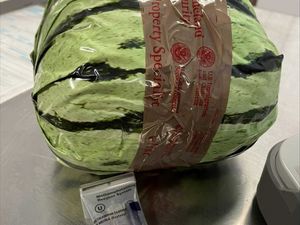 Supporting image for story: Fake watermelons stuffed with drugs seized at US-Mexico border