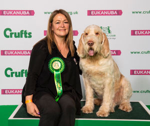 Crufts 2019 - Best of Breed