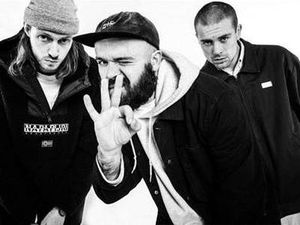 Supporting image for story: Puppy to play Birmingham