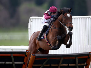 Supporting image for story: Racing cheers Midlands sports fans