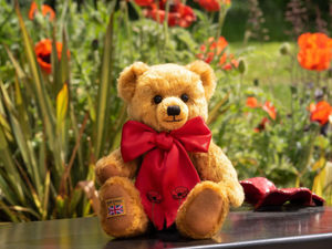 Supporting image for story: Shropshire company teams up with Royal British Legion to launch special Poppy Bear