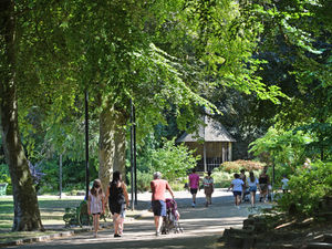 Supporting image for story: Survey set to shape future of green spaces and parks