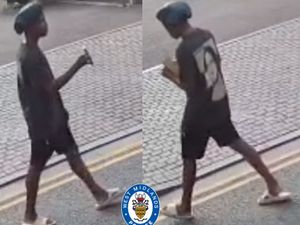 Supporting image for story: Police appeal after elderly woman scammed out of money in courier fraud in Smethwick