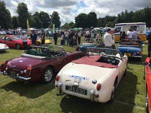 Cars In The Park