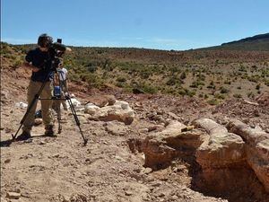 Supporting image for story: Dinosaur fossils may be from biggest creature ever to have walked the Earth