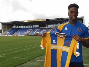 Supporting image for story: Micky Mellon delighted by terrific Ivan Toney at Shrewsbury