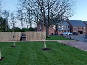 A tree has been kept in the middle of the Nuplace development at Ketley Bank. Picture: LDRS