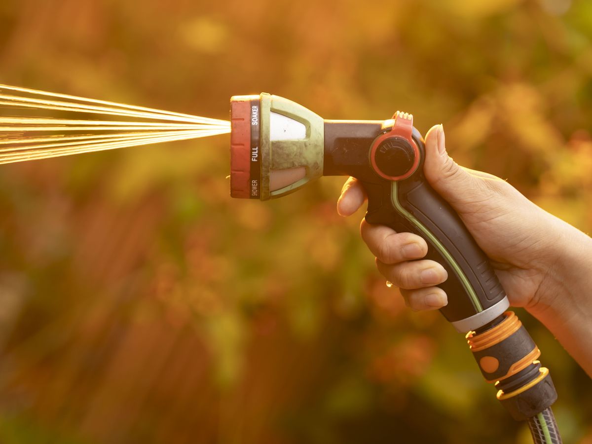 Southern Water becomes latest company to bring in hosepipe ban amid dry weather