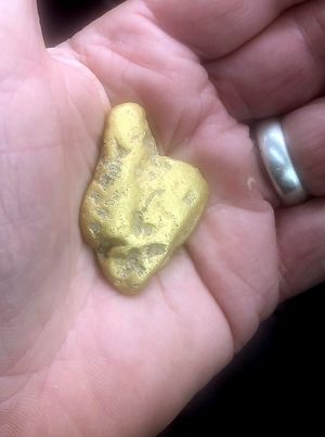 The nugget in Richard's hand after he found it. Photo: SWNS