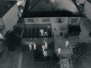 Supporting image for story: Police uncover cannabis factory while arresting burglary suspects in early hours of morning