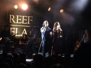 Reef in action at Digbeth Arena - picture Peter Hunt