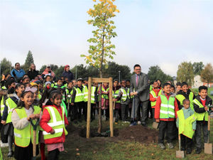 Supporting image for story: First of 1,000 trees planted along the Sprint bus route linking Walsall to Birmingham and Solihull 