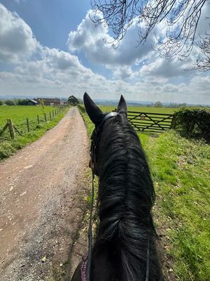Horse trekking in the Stiperstones