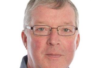 Supporting image for story: Efforts to turn Newport into Telford's first 'tree town' begin - with aim to plant 1,000 trees