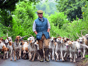 Supporting image for story: Shropshire hunt supporters disappointed as Commons vote scrapped