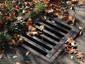 Supporting image for story: Road users warned as council reports theft of 20 drain covers