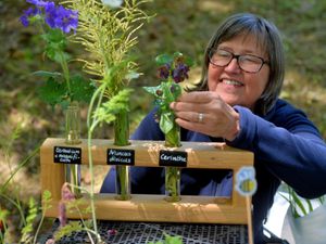 Supporting image for story: Plant hunters enjoy event hosted in '60 acres of paradise'