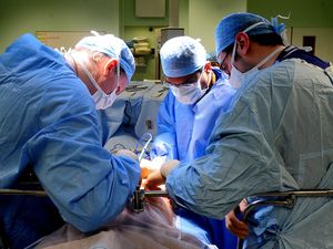 Supporting image for story: Liver perfusion technique ‘could save seven in 10 discarded donor livers’