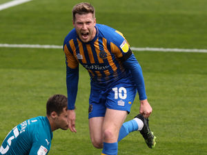 Supporting image for story: Opinion: A standout candidate for main Shrewsbury Town award