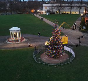 The tree is now back in place - albeit a few feet shorter. Picture: Shrewsbury Town Council