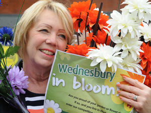 Supporting image for story: Wednesbury flower festival to end with summer fete