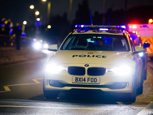 Supporting image for story: 200 cannabis plants found at Walsall drugs farm