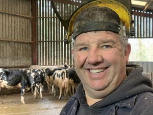 Supporting image for story: Shropshire Farming Talk: Investment to enhance cattle comfort and digital efficiency