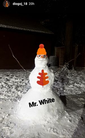 Diogo Jota's snowman (Instagram)