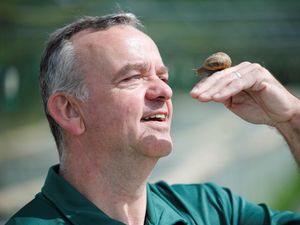 Supporting image for story: Monaghan farmer plays matchmaker with ‘lonely hearts’ snails