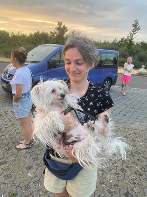 The convoy brought back 27 people and five dogs