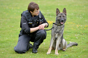 PC Kim Coates enjoys coming to work with her best friend