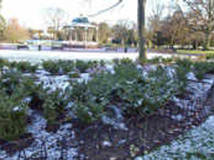 Supporting image for story: Shorts to shivers in one day