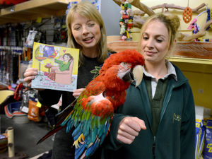 Supporting image for story: World's oldest parrot pops out of retirement for Shropshire author's new book