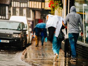 Supporting image for story: Storm Aileen: Shropshire gales warning issued  