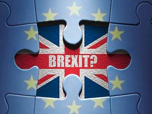 Supporting image for story: LETTER: EU fear is that other countries will follow