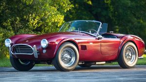 Supporting image for story