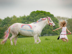 Supporting image for story: In pictures: Amber and Bear’s colourful tribute to health service workers