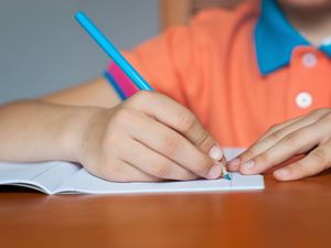 The Children's Wellbeing and Schools Bill is being introduced to Parliament on Tuesday (Alamy/PA)