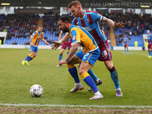 Supporting image for story: Scoreless Shrewsbury Town striker wins Micky Mellon's praise