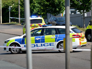 Supporting image for story: Appeal for witnesses after 79-year-old man killed in Coseley lorry crash
