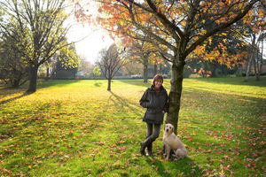 Supporting image for story