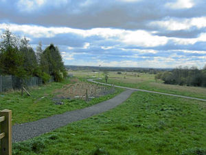 Supporting image for story: Bullmastiff attacks woman and dog in Hednesford park