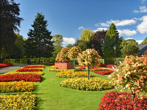 Supporting image for story: Blooming great news as Oswestry named a finalist in national Britain in Bloom competition